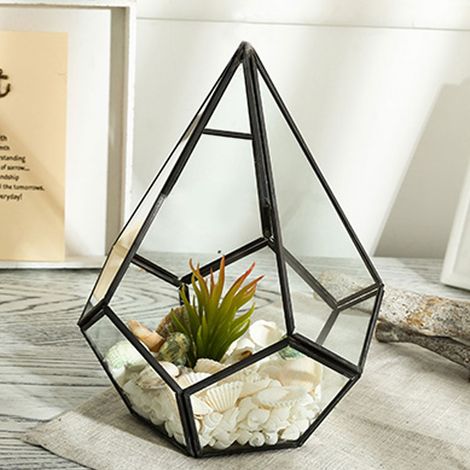 Pot de fleurs élégant en verre de forme géométrique, idéal pour les plantes succulentes et la décoration. (1/5)