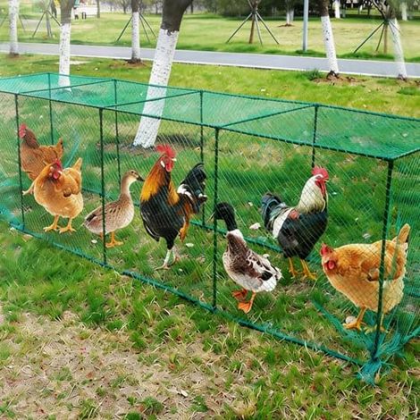 Poulailler, Clture de Poulailler Mobile Grillage a Poule Enclos pour poulailler 3208080cm Tunnel pour Poules, Canards, Lapins et Petits Animaux, Intérieur et Extérieur (1/5)