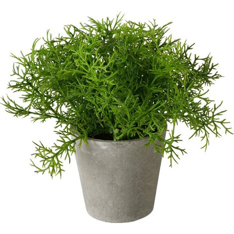 Künstliche Pflanze im Zementtopf, 17 cm, FERN