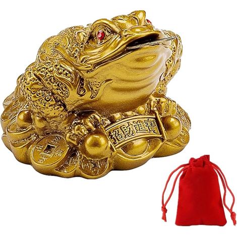 Summerwy - Pièce de monnaie en forme de grenouille porte-bonheur, grenouille chinoise pour la prospérité, décoration de la maison (1/5)