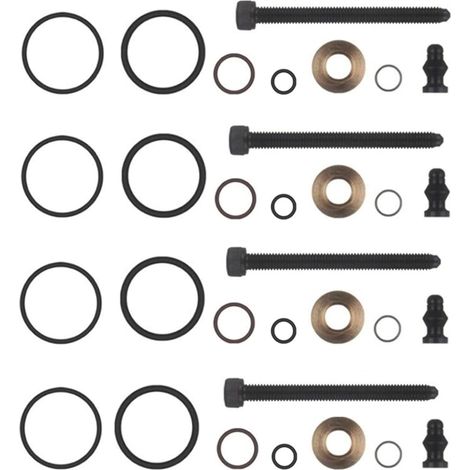 Kit Reparación Bomba 4 Inyectores compatible con A2 A3 A4 A6 GALAXY ALHAMBRA ALTEA CORDOBA IBIZA III IV LEON TOLEDO FABIA ROOMSTER SUPERB CADDY III GOLF IV V JETTA III POLO T5-038103385A (1/4)