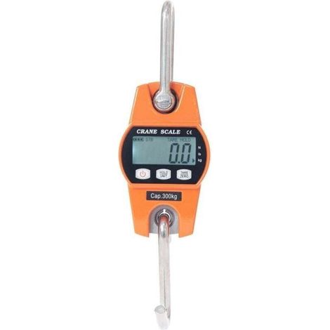 Balance Crochet Suspendu 300kg Peson Electronique LCD Industriel 300kg/600lbs