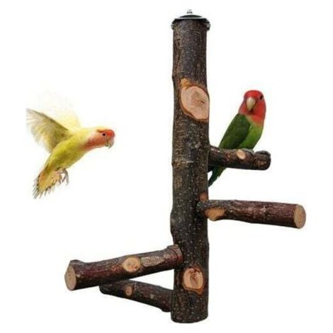 Joody Perchoir pour Cage de Perroquet Jouets pour Perruche Perchoir en Bois Naturel pour 3 ou 4 Petits ou Moyens, Cacatoès, Conure, Perruche, Oiseau d'amour, Pinson (1/5)