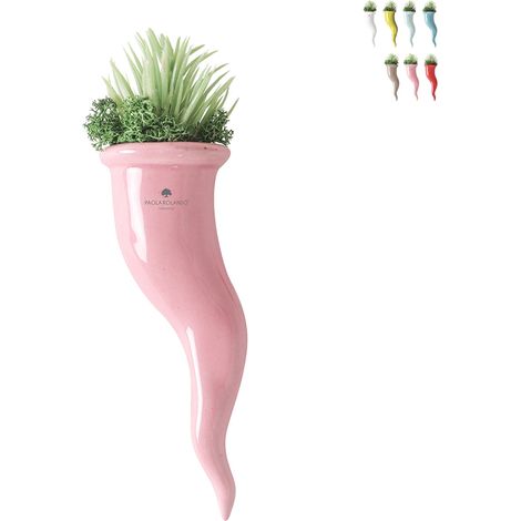 Pianta grassa succulenta in vaso cornetto di ceramica Paola Rolando Partenope - Rosa