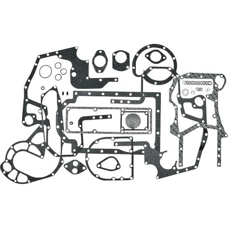 Unterer Motordichtungssatz für CASE IH 3136802R99