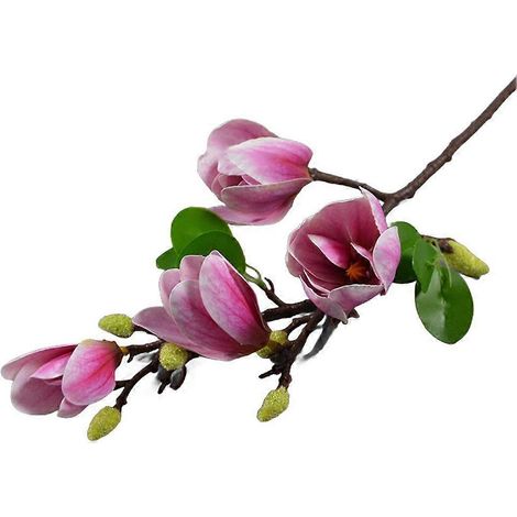 Branche d'orchidée magnolia plus vraie que nature pour les mariages et les occasions spécialesviolet clair (1/5)