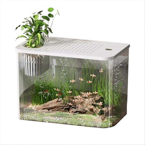 Mini aquarium de table pour petits poissons et plantes aquatiques, finition noire, adapté aux petits espaces.-AquaForge (1/5)