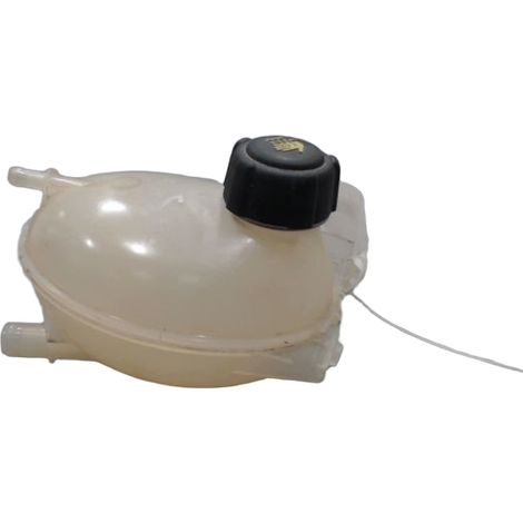 Vase Expansion RENAULT Clio [PRODUIT D'OCCASION]♻️217104354r (1/3)