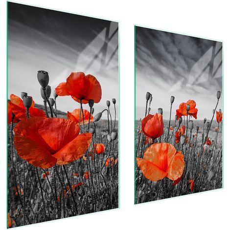 GLASSCHUTZPLATTE FÜR KÜCHE 65x52 MAKI (1/5)