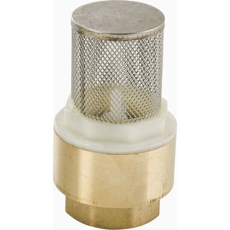 Crépine femelle en laiton avec clapet et tamis – Filtration efficace pour irrigation – Dimensions 33 x 42 mm – Tamis inox durable (1/3)