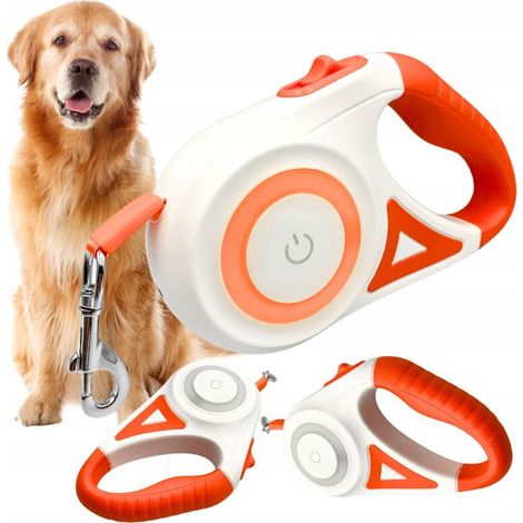 Laisse automatique pour chien à LED avec lampe de poche 5 m RVB verrouillable réglable robuste (1/5)