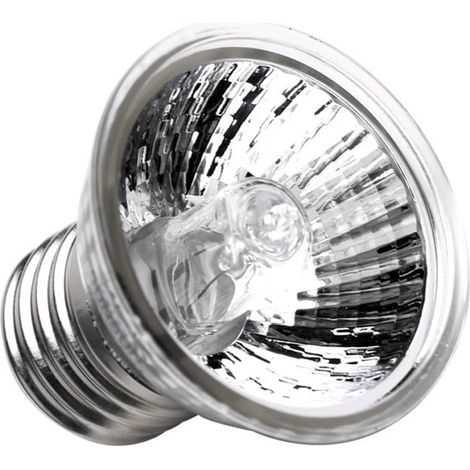 Lampe chauffante 50W pour aquarium, lampe de bronzage pour reptiles, lampe à incandescence (1/5)
