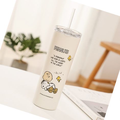 Gourde isotherme Snoopy pour enfants et adultes, en acier inoxydable 304, 500 ml, motif Snoopy, idéale pour les activités de plein air et les sports de plein air. (1/5)