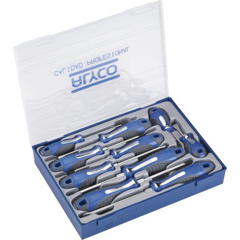 Juego de 10 destornilladores en caja de plástico ALYCO