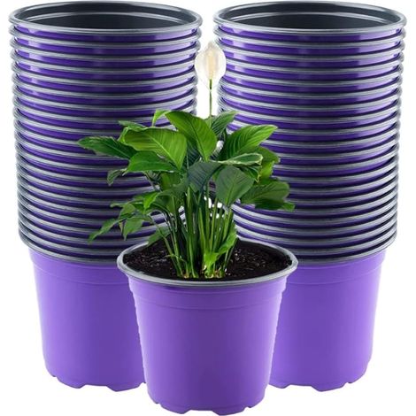 50 Pièces 15cm Pots de Fleurs en Plastique, Mauve Poids Léger Pots de Départ de Graines Pots de Semis de Pépinière Récipient pour Plantes à Fleurs (15 x 13cm) (1/5)