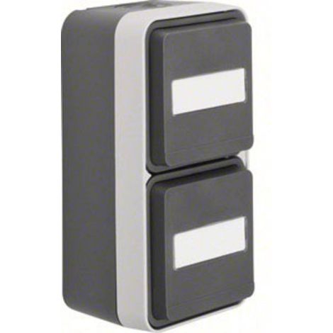 Berker Presa doppia Superficie W.1 Grigio, Grigio luminescente 47703535
