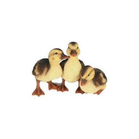caneton X3