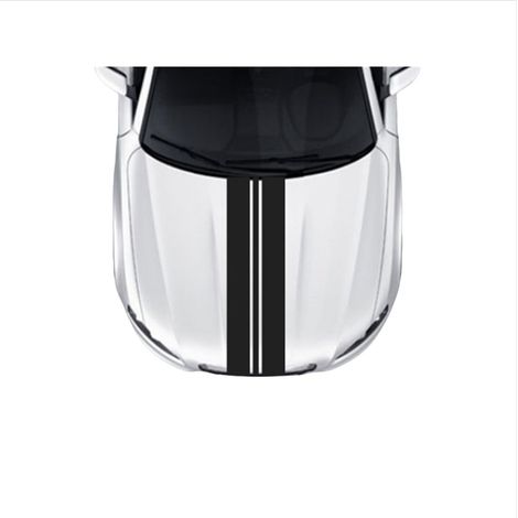 Autocollants de voiture Personal Lines (lot de 5) - Vinyle décoratif noir pour le style et la protection de votre voiture (1/3)