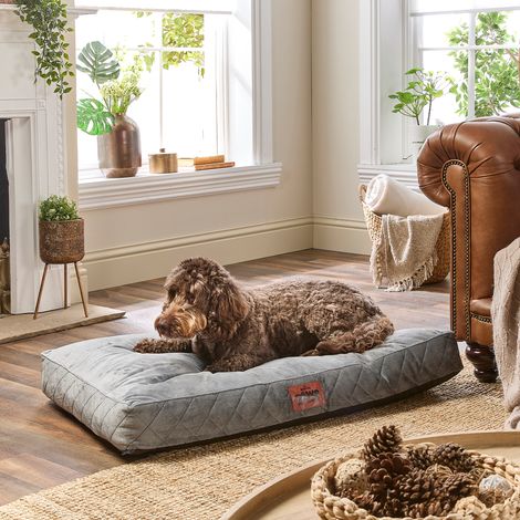 Paws for Slumber Padded Pet Bed, Grey, Large
