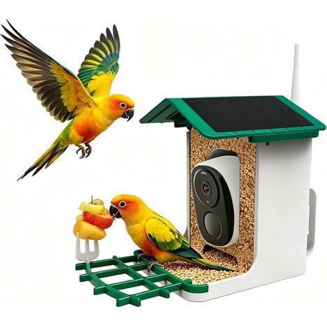 Mangiatoia intelligente per uccelli con telecamera, alimentazione solare, riconoscimento automatico degli uccelli tramite IA, HD 3MP, Wi-Fi 2.4 GHz, impermeabile IP65, 2.1L. (1/5)