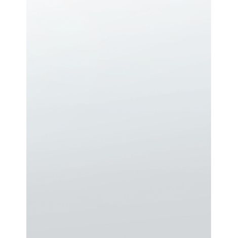 Wall Mirror ANGERS 40 cm 60 cm Silver
