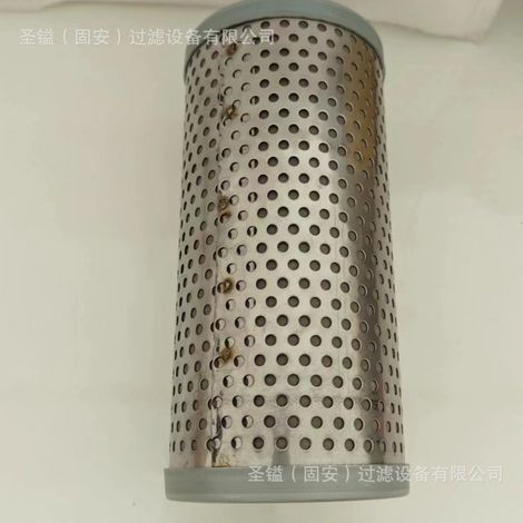 4812034802 541-3410 89200338 Élément filtrant hydraulique 0160D025 (1/5)