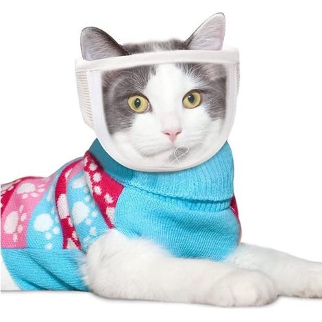 Maschera per gatti trasparente e traspirante, regolabile per prevenire i morsi, maschera per la toelettatura, protezione durante l'addestramento del gatto, accessorio per la toelettatura del gatto, co (1/5)