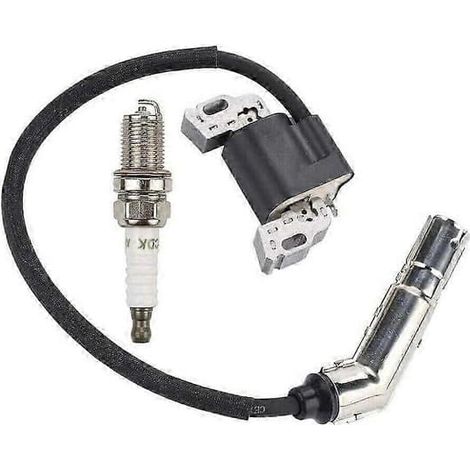 BelleRise - Bobine d'allumage pour tondeuse à gazon Briggs & Stratton 595038 595304 795315 21A807 21A902 (1/2)