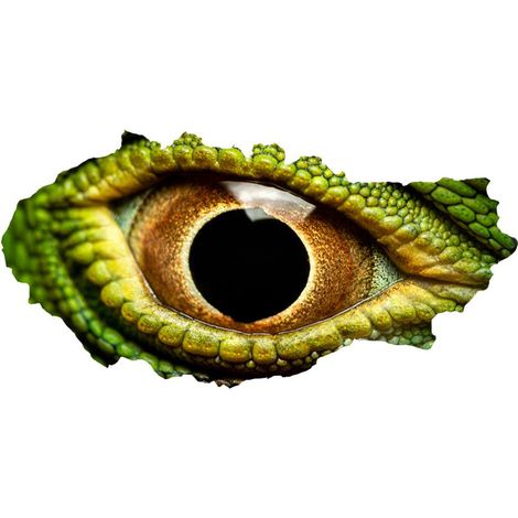 Sticker mural 3D « Yeux de dinosaure lézard » (Style 2) – Décoration pour salon ou chambre (1/5)