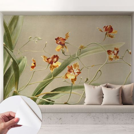 Papier peint adhésif autocollant pour salon chambre à coucher peint imprimé pour mur Orchidées classiques 208x146 cm (1/5)