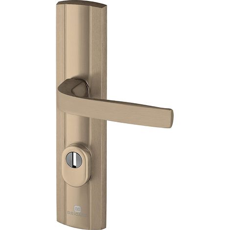 1 - Poignée Blindée - Plaque de Protection - Porte d&39Entrée - Anti-arrachage et Anti-perçage - Cylindre Européen - Ambre - 242x52cm (1/2)
