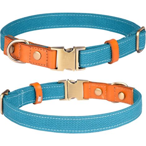 Collier Pour Chien - En Toile Robuste Avec Boucle Métal Gravée - Réglable Pour Promenade Et Dressage - Taille Unique (1/5)