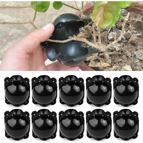 10 boules d'enracinement pour plantes - Boîte de greffe de jardin - Boîte d'enracinement pour semis - Boules de semis - 5 cm, Noir