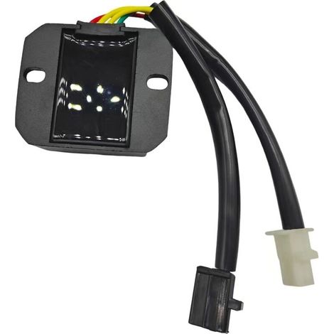 Accessoires pour bobine de stator destinés aux moteurs à magnéto Loncin KE250LX250GS3 et Hengjian S5 pour motos Voge 250RR (1/2)