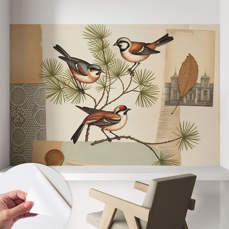 Carta da parati autoadesiva - Fotomurale adesivo - design elegante - stile moderno - Collage di uccelli 104x70 cm (1/5)