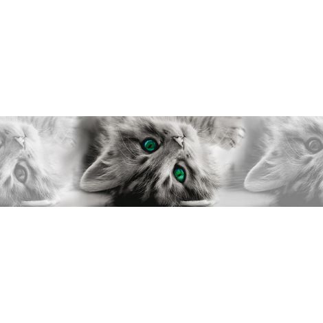 Frise auto-collante Chatons gris aux yeux verts - 1 rouleau (1/5)