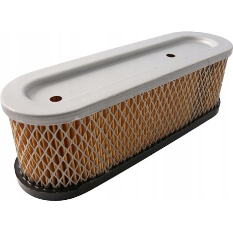 FILTRO DE AIRE BRIGGS & STRATTON 10-12 HP 399806 399806S 491519