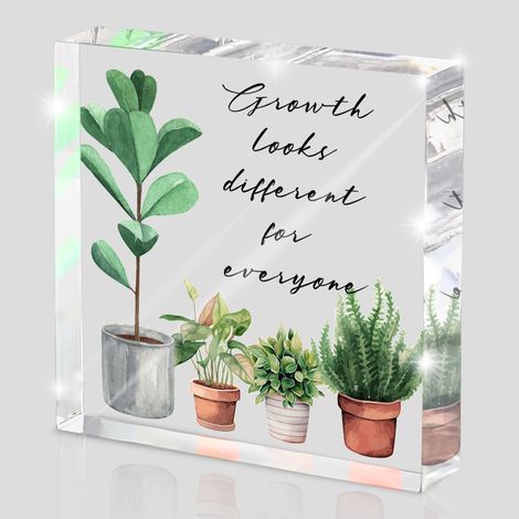 Décoration inspirante - La croissance est différente pour tout le monde - Panneau en acrylique motivationnel avec plante pour décoration de maison, chambre à coucher, bureau et table (1/5)