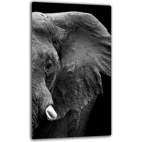 PLAQUE DE PROTECTION EN VERRE POUR INDUCTION 30x52 ÉLÉPHANT (1/5)
