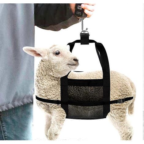 Kalfweegzak voor het wegen van dieren - Hangende weegzak met verstelbare banden voor het wegen van kalveren, lammetjes, geiten en jonge alpaca's. (1/5)