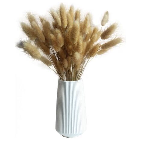 50 Pièces Fleurs Séchées Naturelles Herbe de Pampa, d'herbe Queue de Lapin Bouquet de Fleurs pour Chambre à Coucher Intérieur la Décoration de la Maison de Mariage