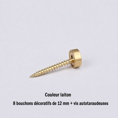 Cache-vis décoratifs en laiton 12 mm avec vis autotaraudeuses, 8 pièces pièces12mm 3 × 1,2 × 3 cm 36 g – Livraison gratuite
