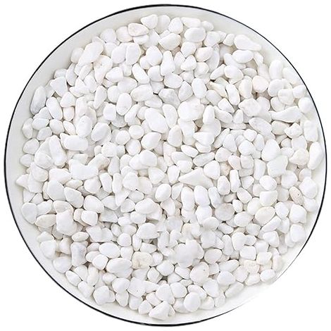 Titre : Pierres Blanches Décoratives pour Jardin et Plante - Galets Blancs pour Décoration Vase, Aquarium et Pot de Fleur - 1kg (1/5)