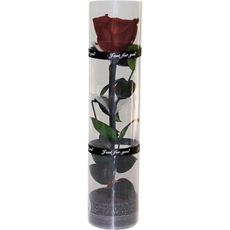 Rose Préserver - Rose Réelle Naturelle - Longueur 27 cm - Diamètre Fleurs 4,5 cm - Pour Décoration Intérieure ou Cadeau - 1 Pièce (1/5)