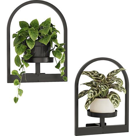 Lote de 2 soportes para plantas de interior, colgantes de pared para plantas, macetas para plantas de interior, redondas (1/5)