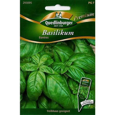 Quedlinburger Basilikum Bavires - Premium Kräutersamen (1/2)