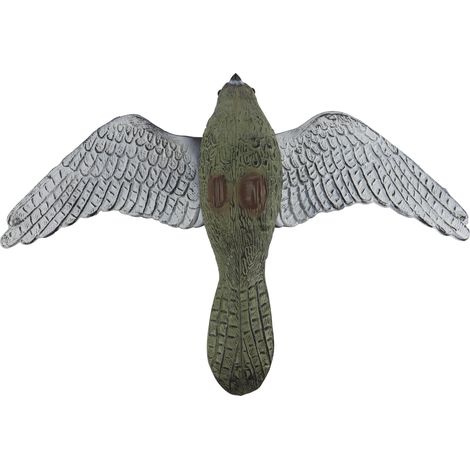 Falco spaventoso uccelli e roditori di 52 cm di apertura alare. Ideale contro i fastidiosi piccioni, merli e gazze. (1/5)