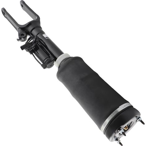 Airmatic Front Air Suspension Strut For Mercedes R320 R350 R500 R Class W251 New (1/5)