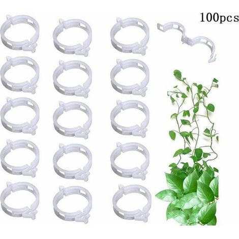 Bardusch - 100 clips tomates support croissance vigne légumes jardin réutilisables (1/4)