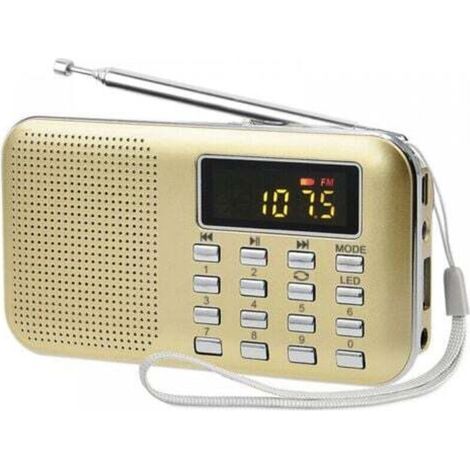 Poste Radio Portable, Radio FM AM Piles et Secteur, MP3, Enceinte, Support TF Card/USB, Torch, Convient (Doré) (1/4)